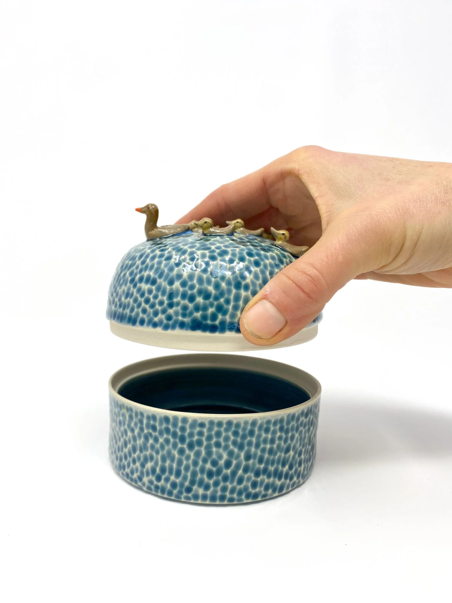 Be Like a Duck Jar № 82261 — AP Curiosities